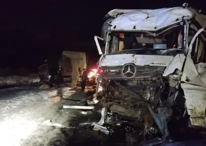 Молодые бычки погибли в ДТП в Емельяновском районе Красноярского края