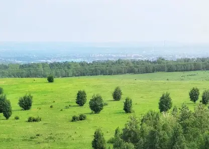Волна жары накроет Красноярск в субботу
