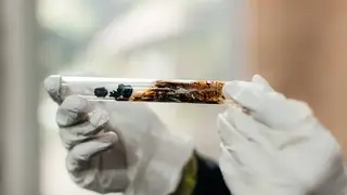 Ученые ТПУ нашли способ сократить энергопотребление при переработке отходов почти вдвое