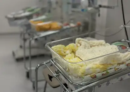 412 малышей родилось в июле в Краевом перинатальном центре