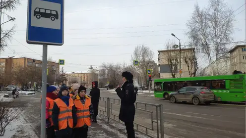 Красноярских школьников научили дорожной грамотности