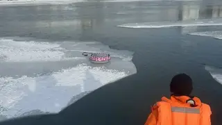 Спасатели разыскивают в Новосибирске девочку, которая могла провалиться под лед