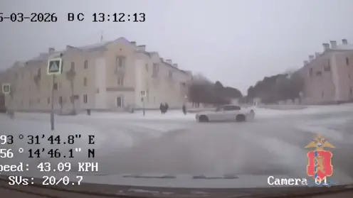 Пьяный водитель на BMW протаранил патрульную машину и пытался убежать в лес в Железногорске