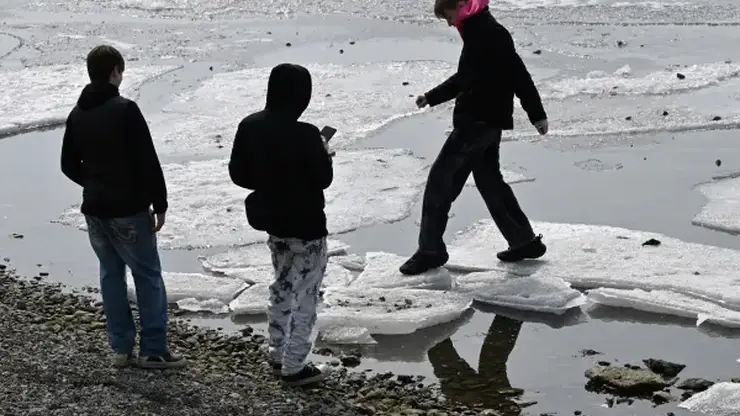 258 подростков задержали за кражи и грабежи в Новосибирской области