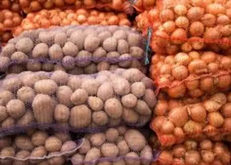 65 тонн казахстанского лука ввезли в Хакасию с нарушениями фитосанитарных правил