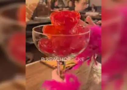 В двух красноярских пабах появились 5-градусные пивные мишки