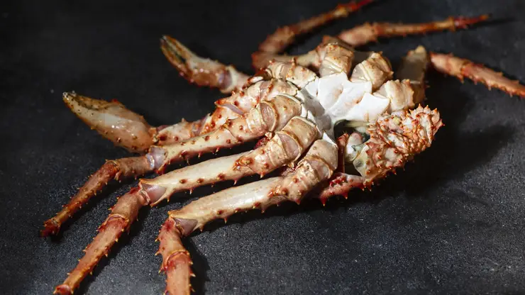 Директора компании по добыче краба в Приморье обвиняют в контрабанде и уклонении от уплаты таможенных платежей