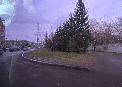 В четверг, 7 мая, в Красноярске пройдут дожди, но будет тепло