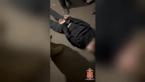 Школьник на службе мошенников: в Красноярске задержали подростка за работу с сим-боксом