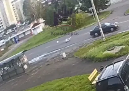 Женщину сбили на пешеходном переходе в Железногорске (видео)