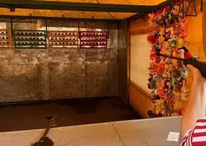 Житель Улан-Удэ украл пневматику и мягкие игрушки из тира в парке развлечений