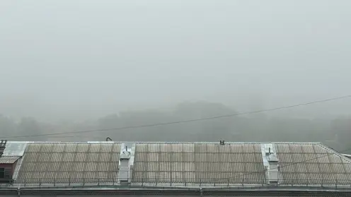 Красноярцев предупредили о плохой видимости на дорогах из-за тумана