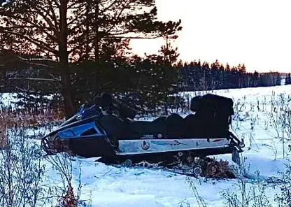 Два ребенка опрокинулись на снегоходе в Иркутской области: один из них погиб