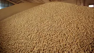 Из Красноярского края за три месяца экспортировали вдвое больше зерна, чем в прошлом году