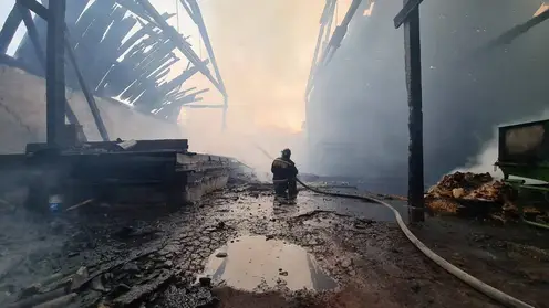 За неделю в Красноярском крае потушили 126 пожаров
