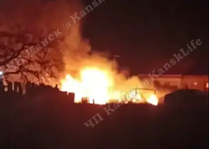 340 голубей погибли при пожаре в хозяйственных постройках в Красноярском крае