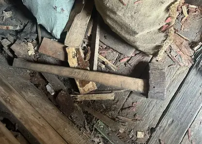 В Канске мать подозревают в убийстве троих детей