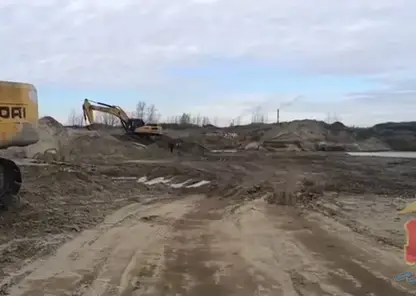 Семейный подряд в Красноярском крае добывал полезные ископаемые под видом высадки ёлок