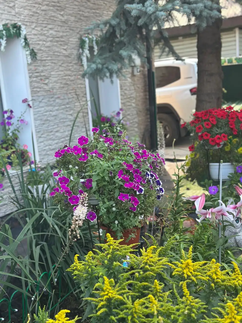 Фото: Мэрия Красноярска / Telegram