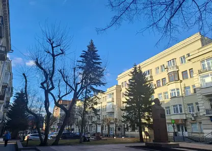 Резкое потепление до +25 ждет красноярцев в выходные