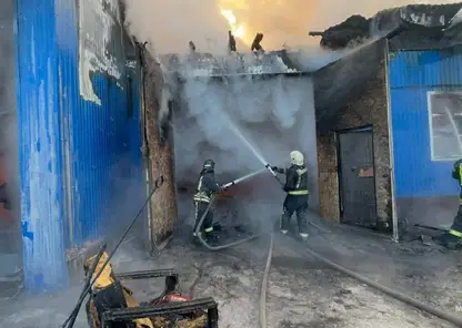 Крупный пожар уничтожил гараж с пятью автомобилями в Красноярском крае