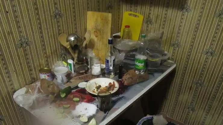 Более 50 ножевых ранений: житель Хакасии предстанет перед судом за убийство сожительницы