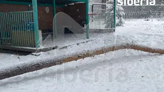 На шестилетнего мальчика в новосибирском детском саду упала сосна. Ребенок в больнице с травмами На шестилетнего мальчика в новосибирском детском саду упала сосна. Ребенок в больнице с травмами