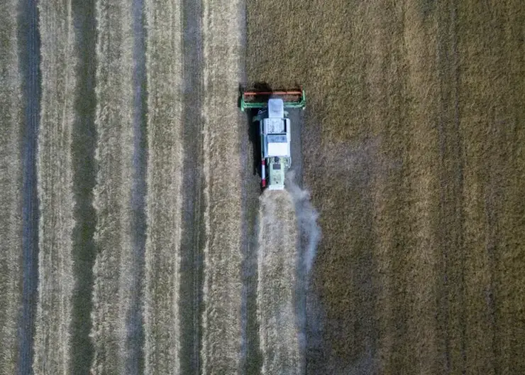 Режим ЧС ввели в двух районах Красноярского края из-за непогоды при уборочной кампании