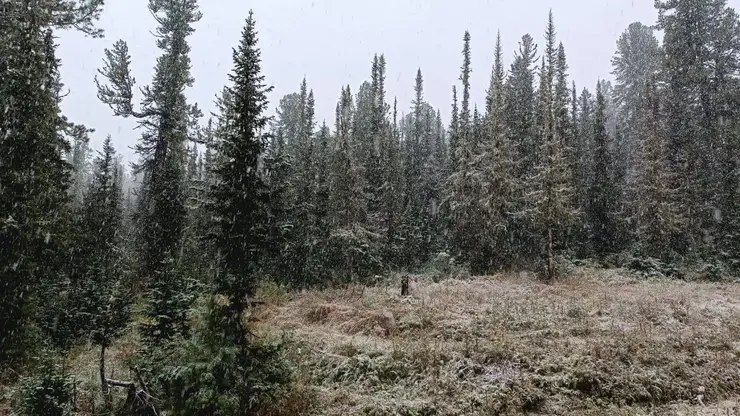 Фрирайдеры досрочно открыли горнолыжный сезон в «Ергаках»