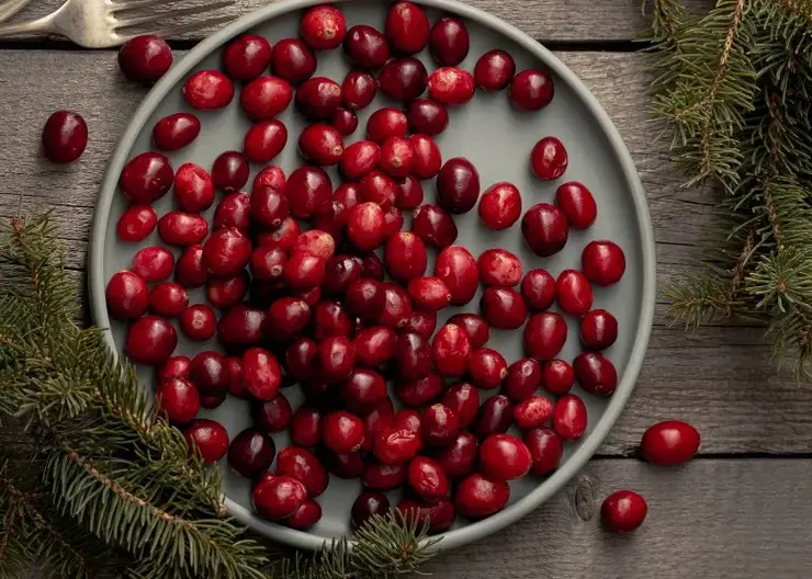 В Роспотребнадзоре красноярцам рассказали о пользе клюквы