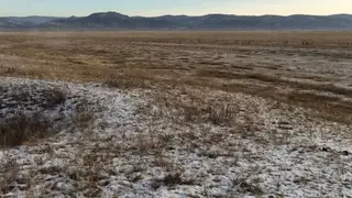 Месторождения нефти и газа обнаружили в Забайкалье