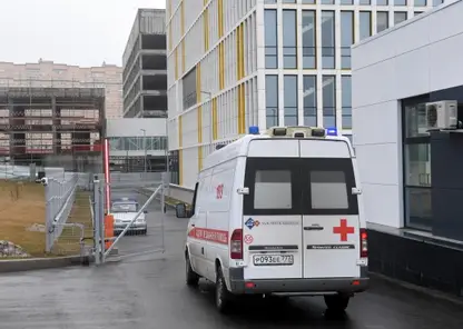Школьница из Красноярского края попала в больницу после драки с одноклассником