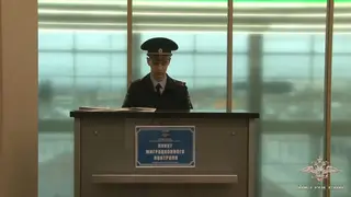 В аэропортах России заработали первые пункты миграционного контроля