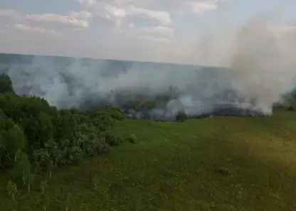 Большая часть лесных пожаров в Томской области произошли по вине людей