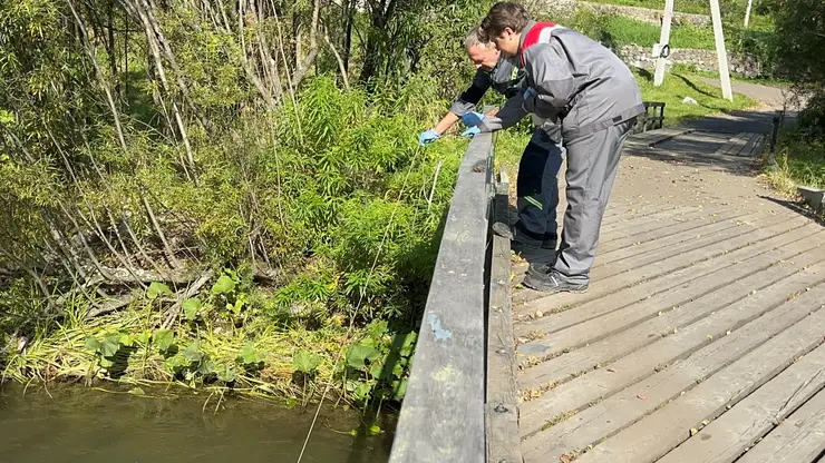 Экологи взяли пробы воды в реках Красноярского края: что показали исследования