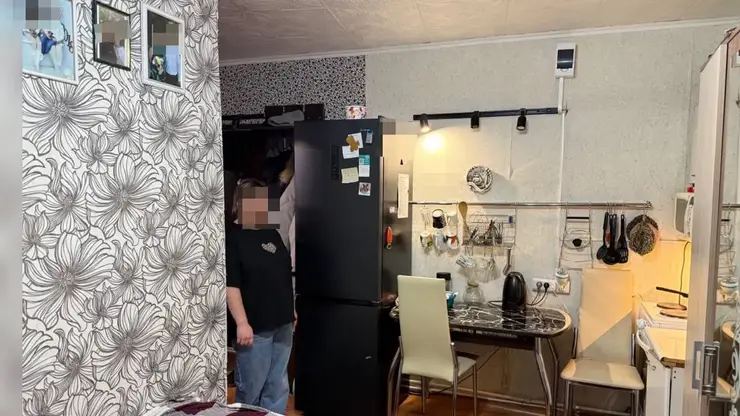 Жительница Красноярска предстанет перед судом за нападение на сотрудника ПДН