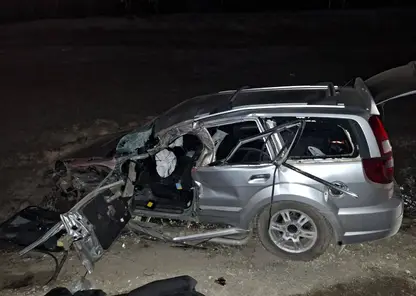 В Ермаковском районе края водитель выехал на встречку и погиб