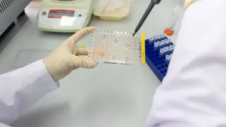 Новые вещества для борьбы с бактериями создают ученые Новые вещества для борьбы с бактериями создают ученые