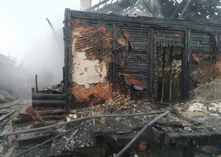 В Новосибирской области при пожаре погибла 12-летняя девочка