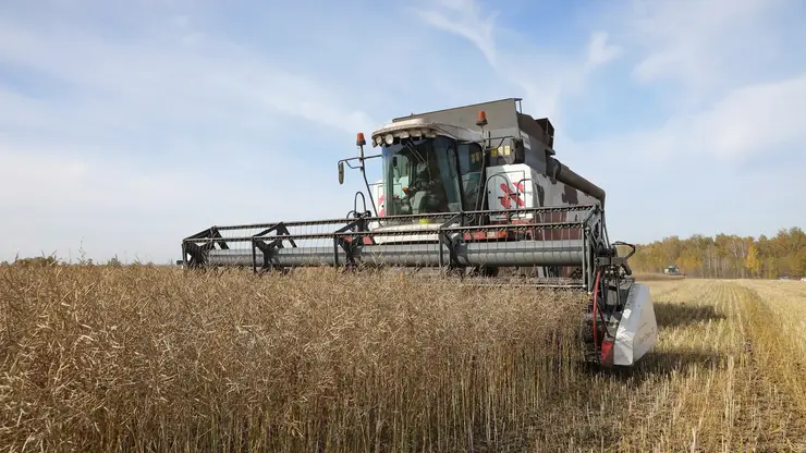 В Красноярском крае стартовала уборочная кампания