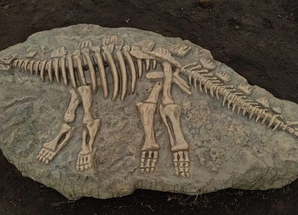 Фото: Минстрой Красноярского края / t.me/krasminstroy