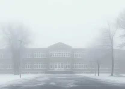 Недовольные учебой в метель сибирские школьники пожаловались Мизулиной