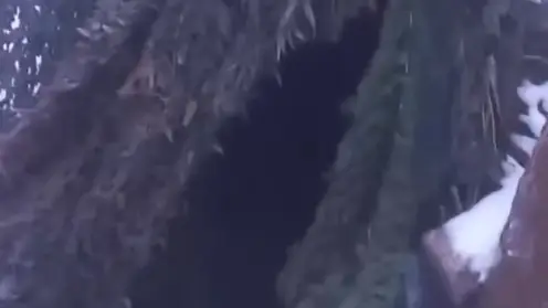 Красноярские бойцы СВО попросили о помощи из-за сильных холодов