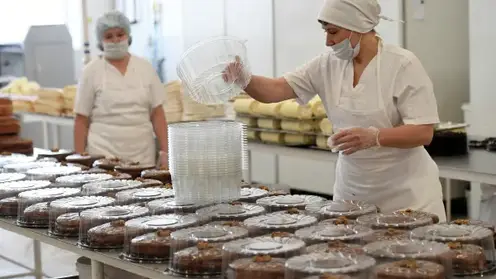 В красноярских тортах нашли кишечную палочку, дрожжи и плесень