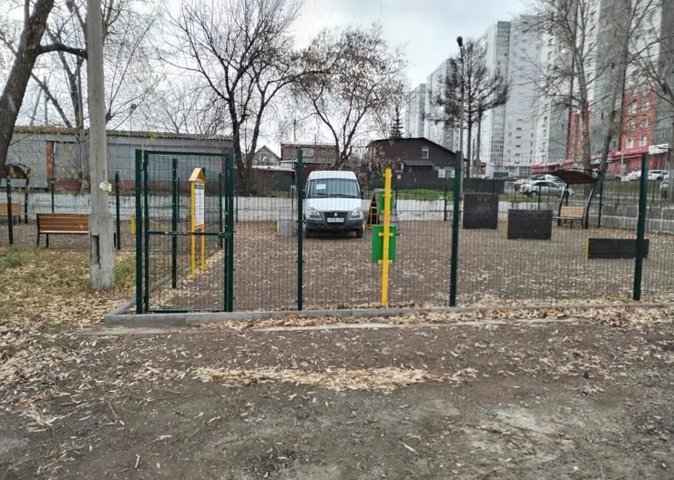 В Красноярске вокруг припаркованного автомобиля появилась площадка для выгула собак