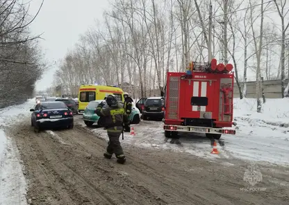 В Красноярском крае за сутки при пожарах спасли 17 человек