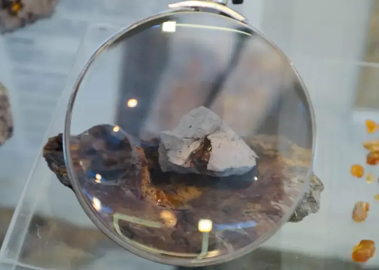 Коллекция Кузбасского музея пополнилась древнейшим в стране янтарем