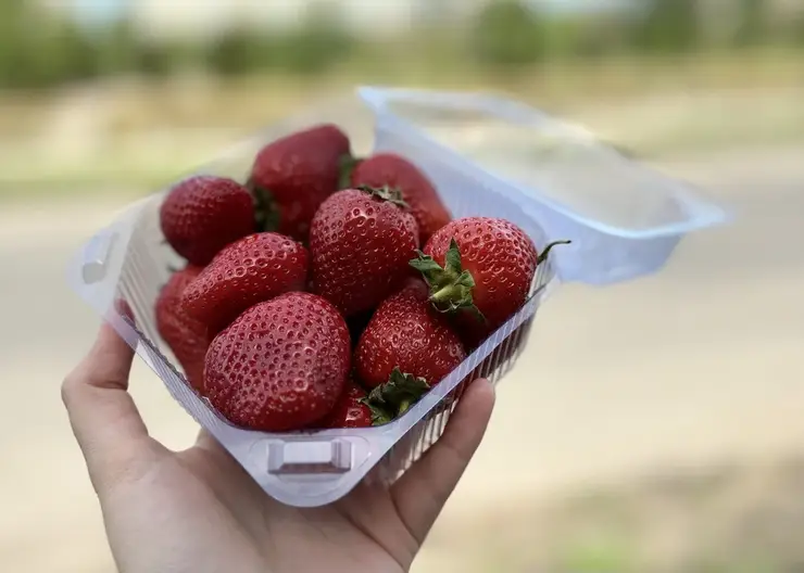 Красноярцам рассказали о продуктах, которые помогут утолить жажду в жару