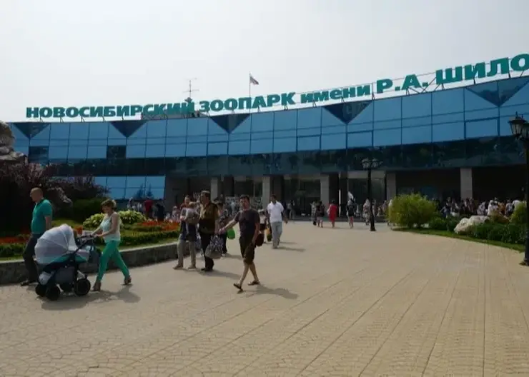 В Новосибирском зоопарке приступили к строительству комплекса "Азия"