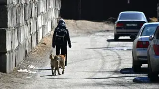 Полицейский спас ребёнка от стаи собак в Иркутской области